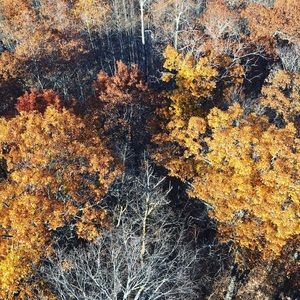 Meet your Posher, Logan